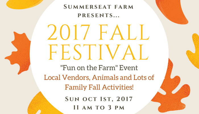 2017 Fall Festival