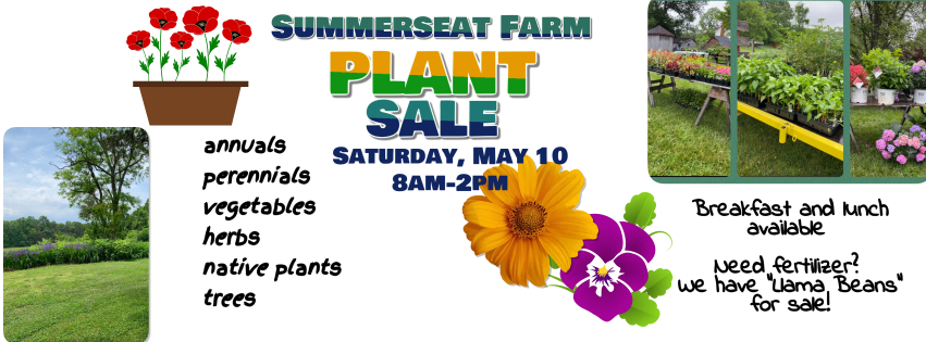 plant sale flyer template (3)