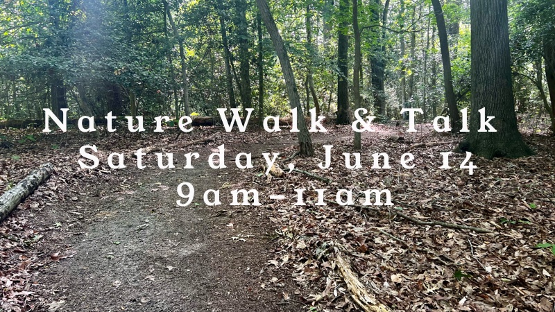 june Walk